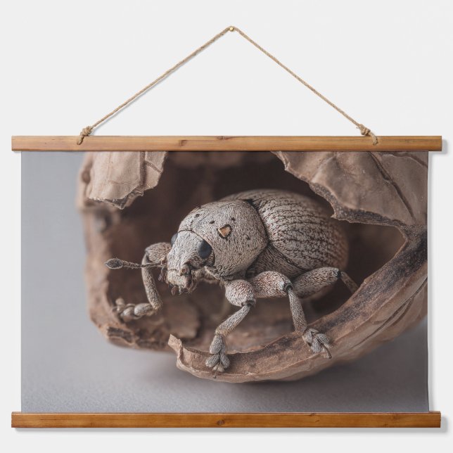 Stone Beetle Carving Earth Tone Wall Art (Front)