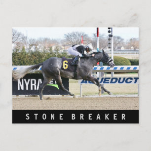 Stone Breaker Postcard