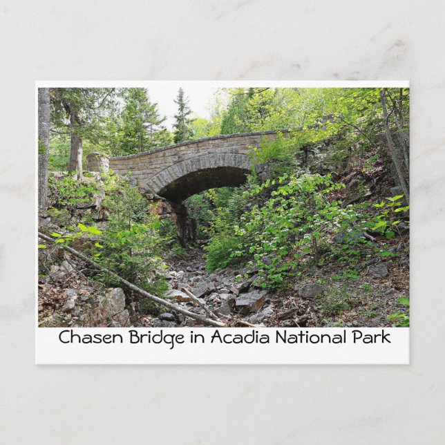 Stone bridge - Acadia National Park Postcard (Front)