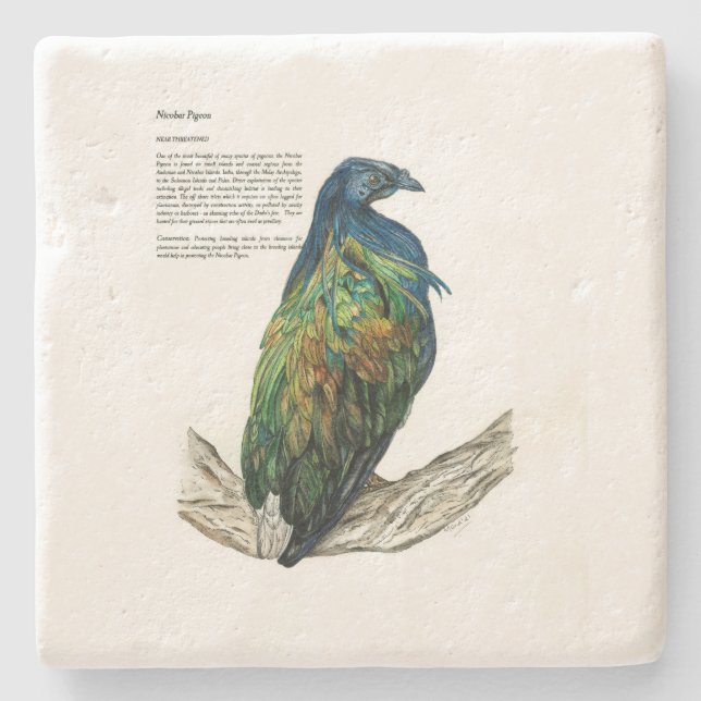 Stone Coaster (Front)