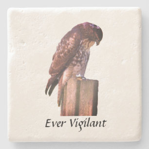 Stone Coaster - Falcon - Ever Vigilant