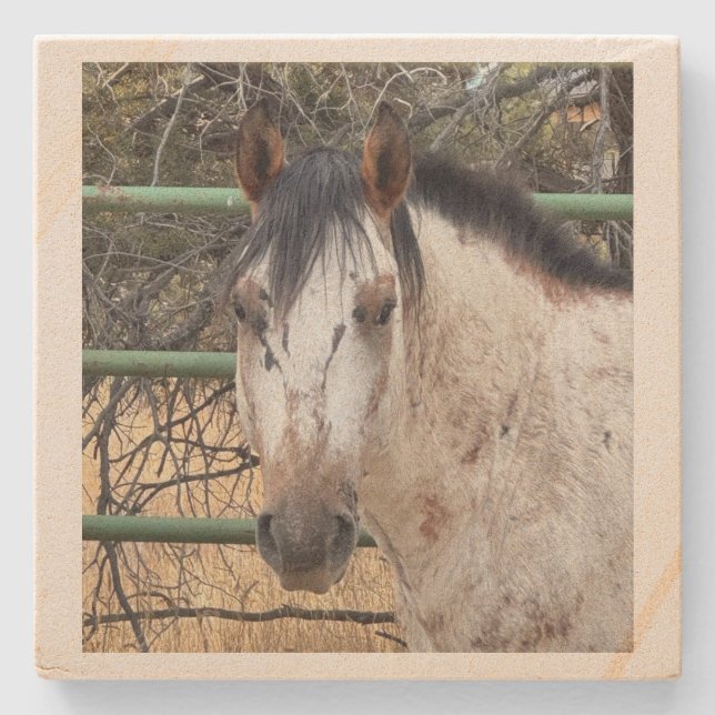 Stone Coaster- Happy Appy  Coaster (Front)