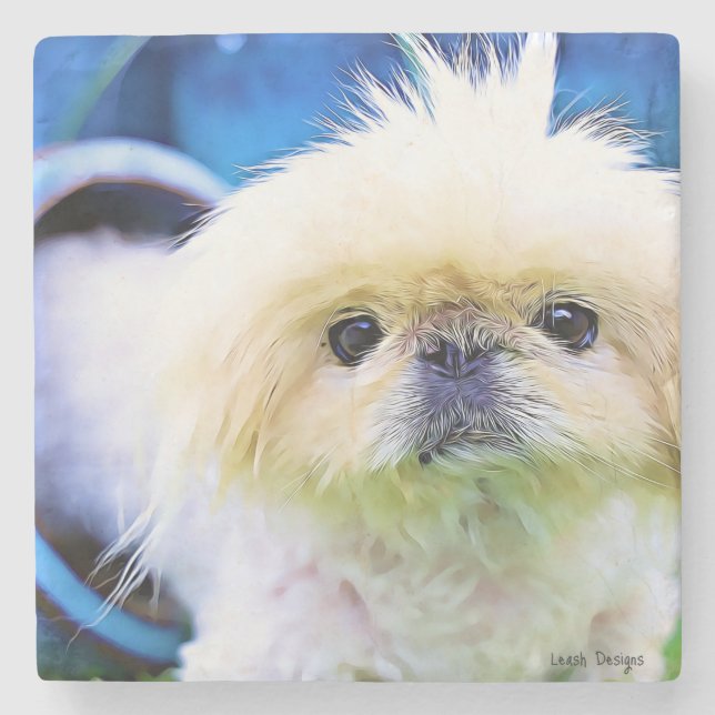 Stone Coaster Pekingese Marcus! (Front)