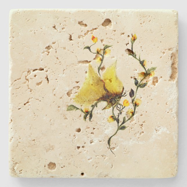 Stone coaster travertine  (Front)