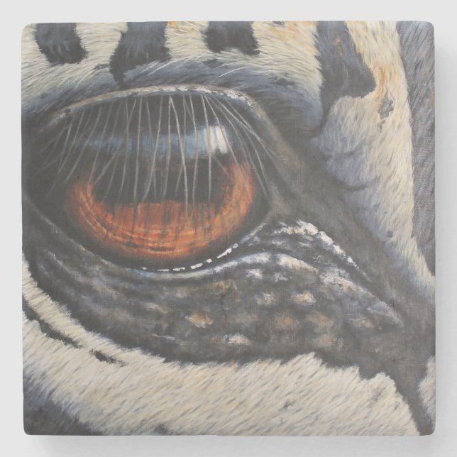 Stone Coaster Zebra Eye (Front)