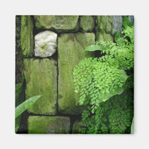 Stone Garden - Magnet #1