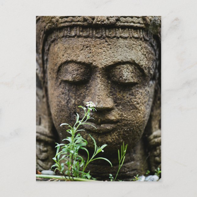 Stone garden statue with flower postcard (Front)