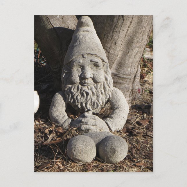 Stone Gnome Postcard (Front)