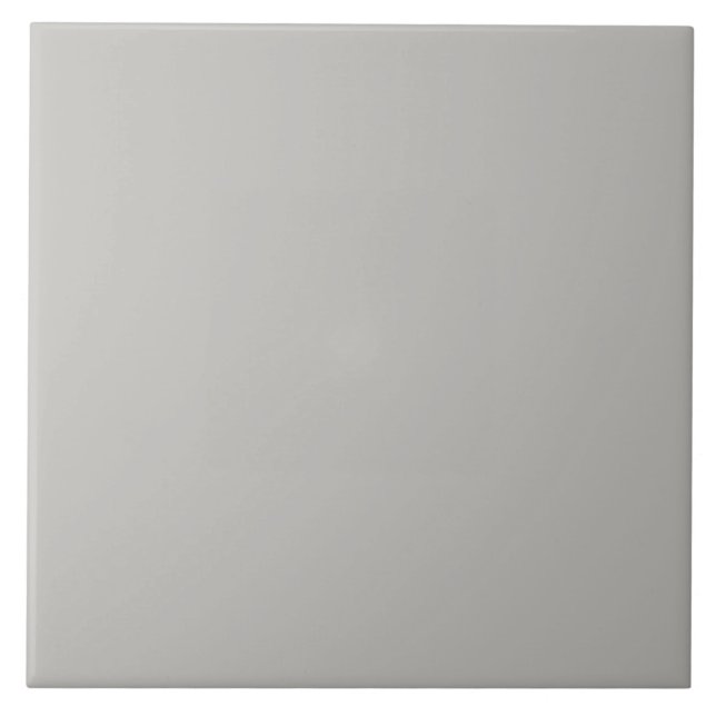 Stone Gray Ceramic Tile. Tile (Front)