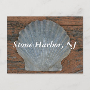 Stone Harbour Scallop Shell Postcard