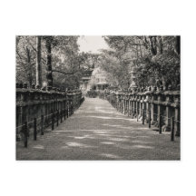 Stone Lantern Path at a Japanese Shrine – Black an