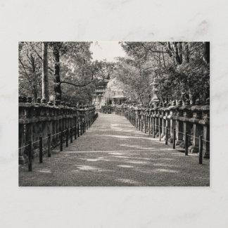 Stone Lantern Path at a Japanese Shrine – Black an Postcard