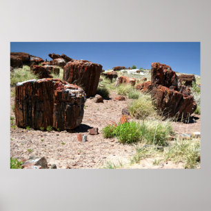 Stone Logs in The Petrified Forest Poster