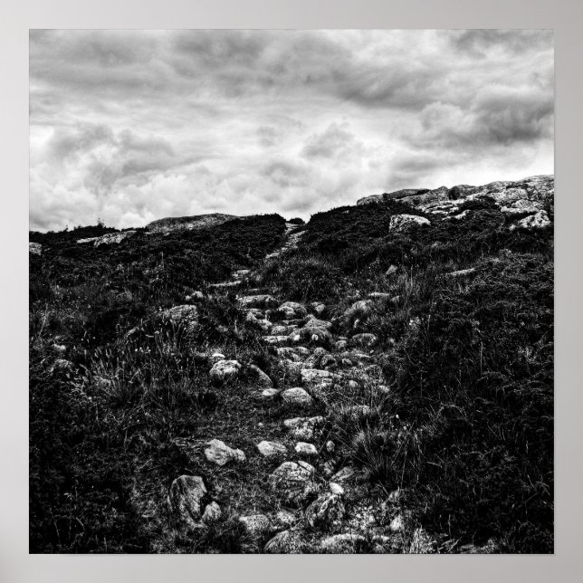 Stone path poster (Front)