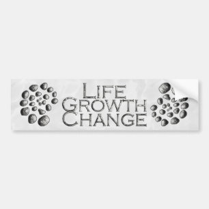 Stone Spiral Life Growth Change Bumper Sticker