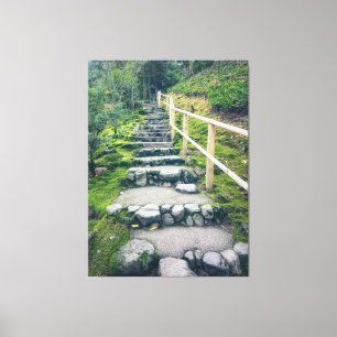 Stone Steps in The Park Canvas Print