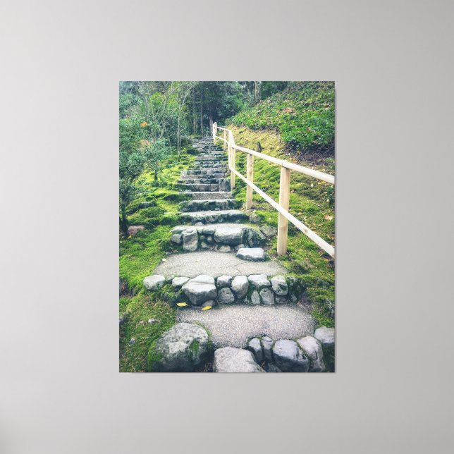 Stone Steps in The Park Canvas Print (Front)