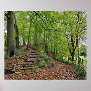 Stone Steps In The Woods Poster