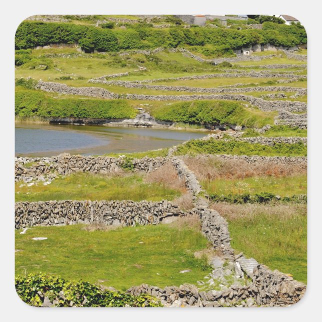 Stone Walls of Ireland Square Sticker (Front)