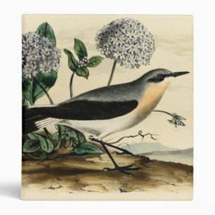Stonechat Wren Binder