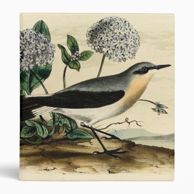 Stonechat Wren Binder (Front)