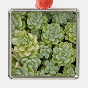 Stonecrop plant pattern metal ornament