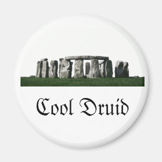 Stonehenge - Cool Druid Magnet