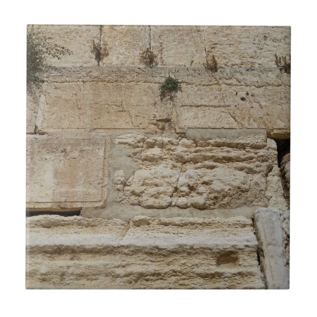 Stones Kotel Western Wall Jerusalem Tile (Front)