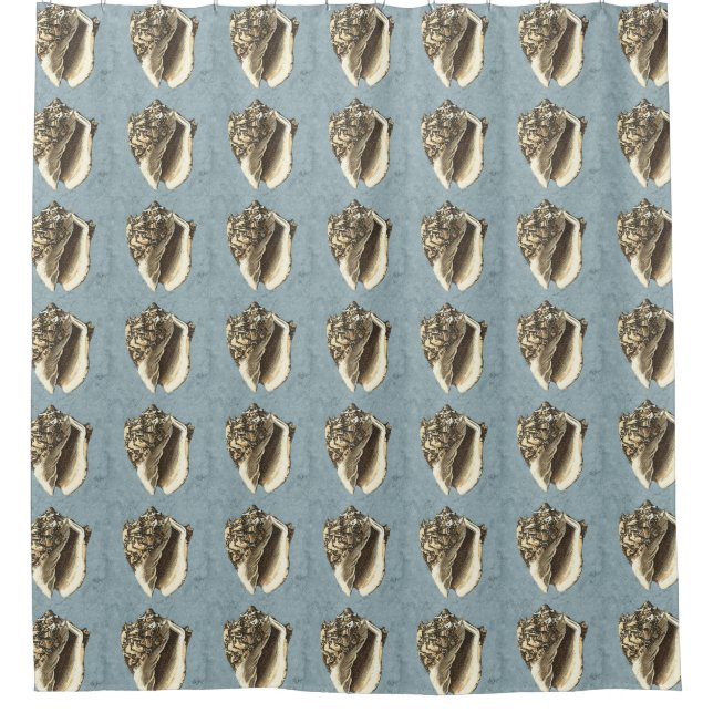 Stonewashed Conch Shell (Front)