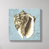 Stonewashed Conch Shell