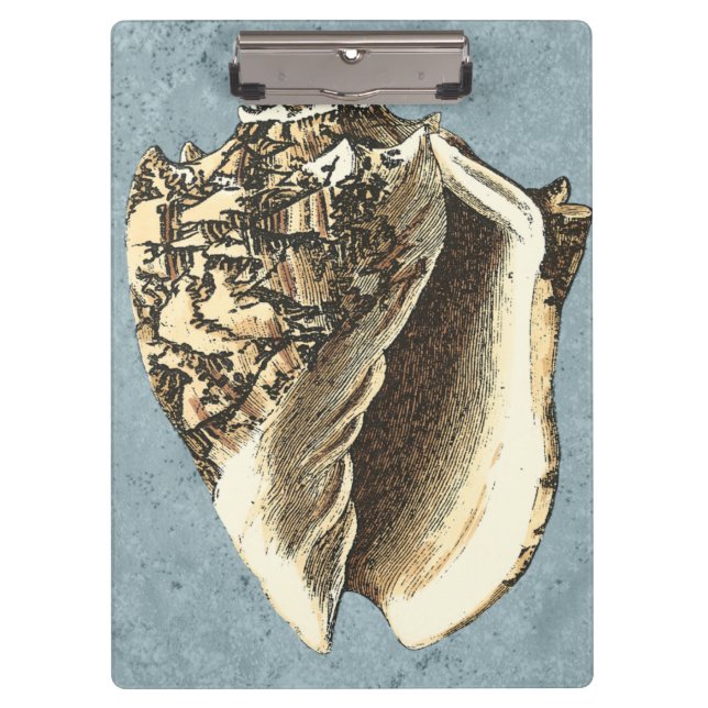 Stonewashed Conch Shell Clipboard (Front)