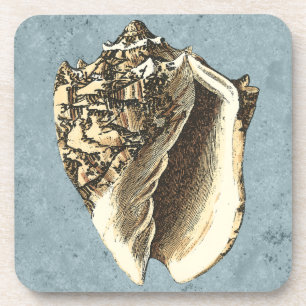 Stonewashed Conch Shell Coaster