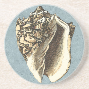 Stonewashed Conch Shell Coaster