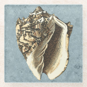 Stonewashed Conch Shell Glass Coaster