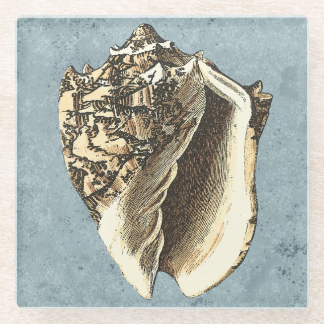 Stonewashed Conch Shell Glass Coaster (Front)
