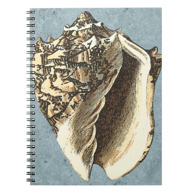 Stonewashed Conch Shell Notebook (Front)