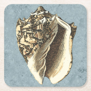 Stonewashed Conch Shell Square Paper Coaster