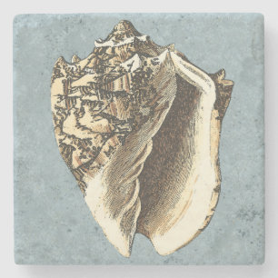 Stonewashed Conch Shell Stone Coaster