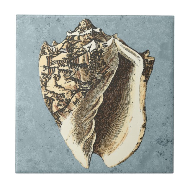 Stonewashed Conch Shell Tile (Front)