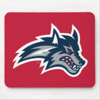 Stony Brook University | Seawolves