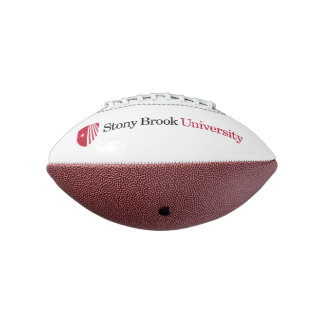 Stony Brook University | Wordmark Football