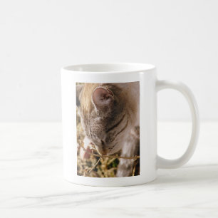 Stop and Smell the Flowers Coffee Mug