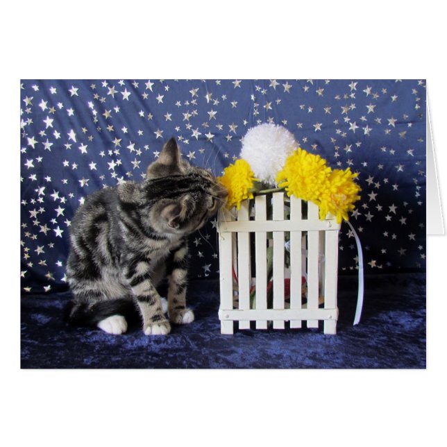 Stop and Smell the Flowers (Lilo) (Front Horizontal)