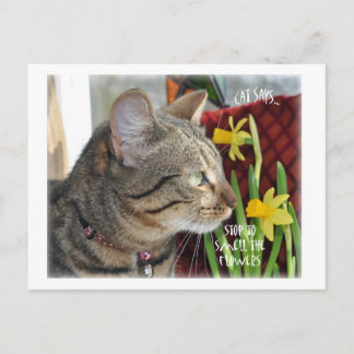 Stop and Smell the Flowers Postcard