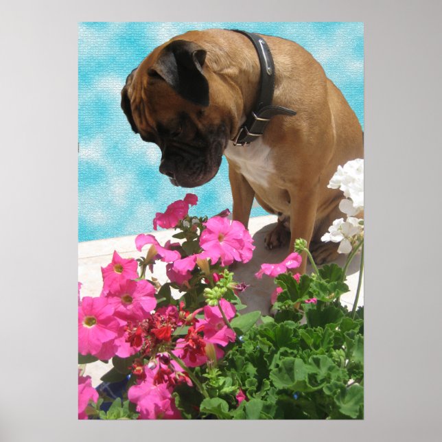 Stop and Smell the Flowers Poster (Front)