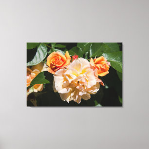 Stop and Smell the Roses Canvas Print