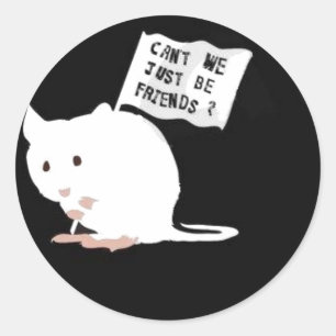 Stop Animal Testing! Classic Round Sticker
