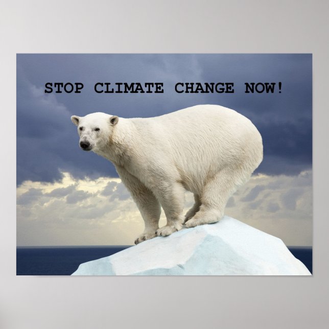 STOP CLIMATE CHANGE NOW! Polar Bear Poster (Front)