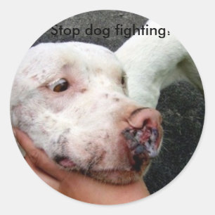 Stop dog fighting! stickers