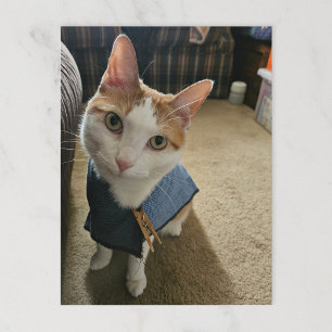 Stop Embarrassing Me! Postcard